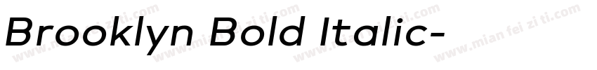 Brooklyn Bold Italic字体转换
